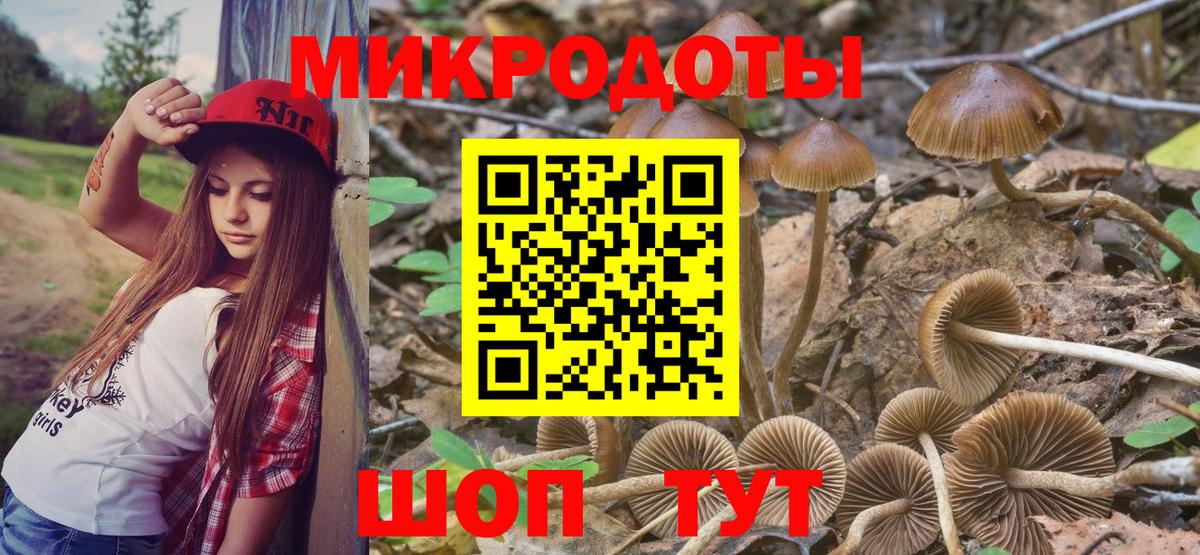 Галлюциногенные грибы мухоморы Красный Сулин